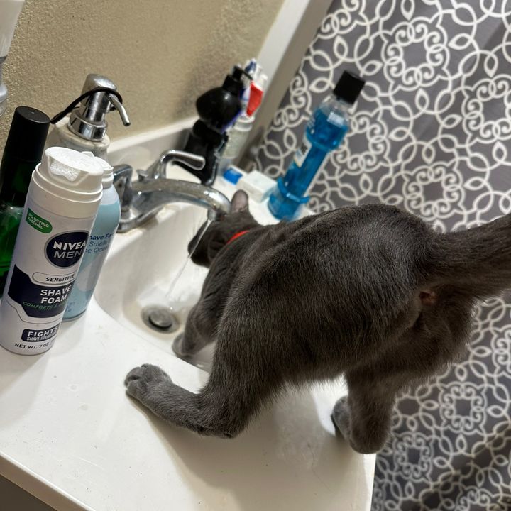 Profile Picture of jacobyapps (@jacobyapps) on Tiktok