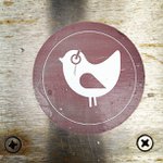 Profile Picture of Jesse McCarter (@joshuledev) on Instagram