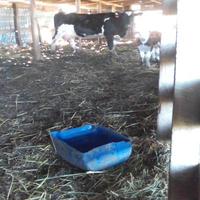 Profile Picture of Fernando canseco (@Fernand33509305) on Twitter