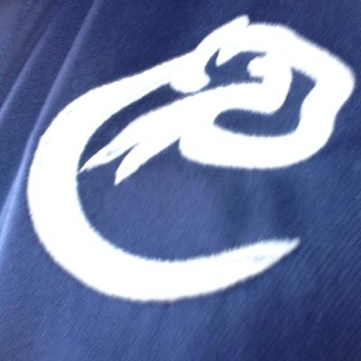 Profile Picture of Leon Cougar B Ball (@LeonCougar) on Twitter
