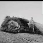 Ramiz Khan Popal - Instagram Profile Picture of Ramiz Khan Popal (@alireza_ebrahimzadh123) on Instagram