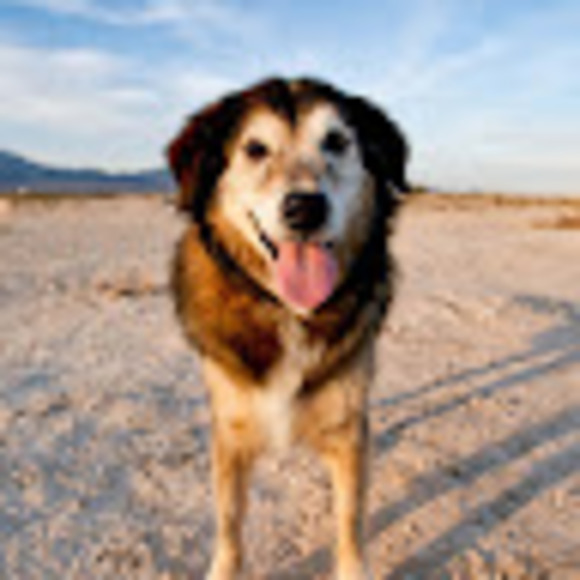 Profile Picture of Claudine Kosier (@claudinekosier) on Poshmark