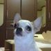 Profile Picture of Kenneth Lepon (@kenneth.lepon.5) on Facebook
