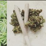 Profile Picture of Randy latta (@randy.latta) on Instagram