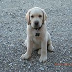 Profile Picture of Kenneth Schøning Baandrup (@kenneth.b.laursen) on Facebook