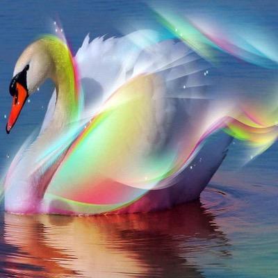 Profile Picture of Jillian Coleman (@Jillianc987) on Twitter