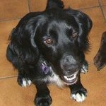 Jo Shipley - Instagram Profile Picture of Jo Shipley (@jo.shipley.18) on Instagram