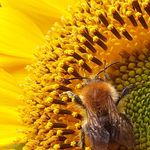 danielle dufresne - Instagram Profile Picture of danielle dufresne (@dufresne527) on Instagram