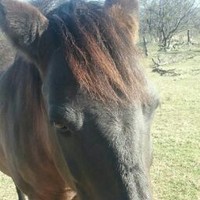 Profile Picture of Shayna Gonzalez (@shayna-gonzalez-1) on Quora