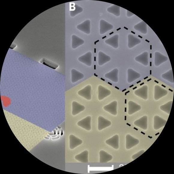 Profile Picture of Matthew Crane (@matthewcrane220) on Poshmark