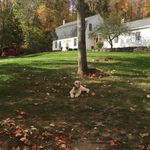 Profile Picture of Gary Blinstrub (@blinstrub) on Instagram