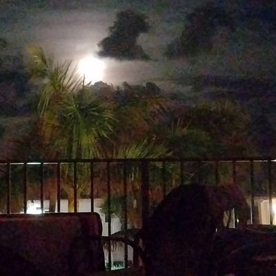 Profile Picture of Lisa Dodd (@corrupted24_7) on Twitter