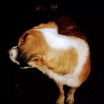 Profile Picture of Joshua Mattis (@joshua_mattis_) on Instagram