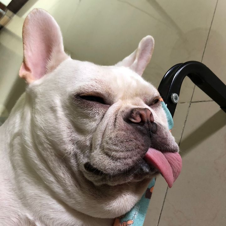 Profile Picture of Radish (@radish6257) on Tiktok