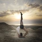 Profile Picture of Meloni David (@davidmeloniiyengaryoga) on Instagram