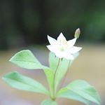 Profile Picture of Eva Finne (@finneava_photos) on Instagram