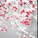 Profile Picture of Danielle Lanning (@lann0054) on Pinterest