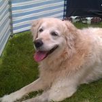 Profile Picture of David povey (@davidrobertpovey2) on Instagram