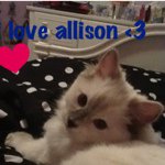 Profile Picture of Allison Pavidis (@iluvaudrey22) on Instagram