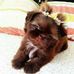 Profile Picture of Lena Rivera (@lena.rivera.750) on Facebook