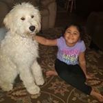 Kim McDonough Luckett - Instagram Profile Picture of Kim McDonough Luckett (@mcdonoughluckett) on Instagram