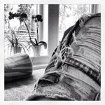 Johan Danielsson - Instagram Profile Picture of Johan Danielsson (@johan__danielsson) on Instagram