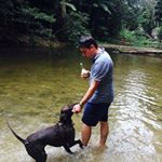 Adam Rostron - Instagram Profile Picture of Adam Rostron (@adam.rostron.7) on Instagram