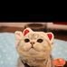 Profile Picture of Emmy Chow (@Emmy-Chow) on Facebook