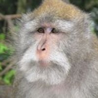 Profile Picture of Michael Dennis (@michael-dennis-19) on Quora