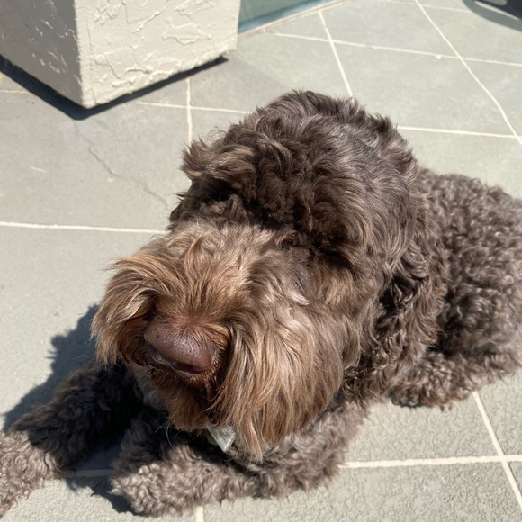 Profile Picture of Madiaon Lathrop (@madi50nll) on Poshmark