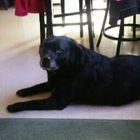 Chasity Berry - Quora Profile Picture of Chasity Berry (@chasity-berry-5) on Quora