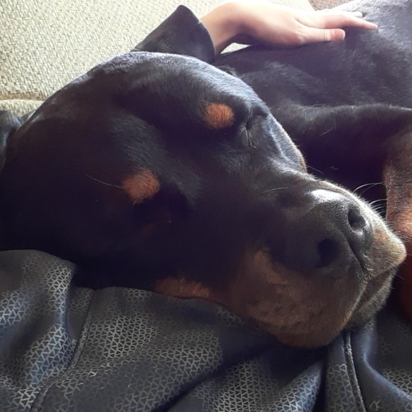 Profile Picture of Phoebe Parker (@pheebo) on Poshmark