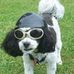Profile Picture of Pat Simon (@pat.simon.7739) on Facebook