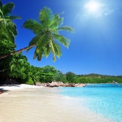 Profile Picture of Jerry André (@JerryAndr15) on Twitter