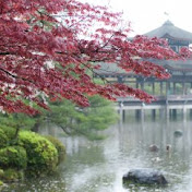 Profile Picture of Jacquie Lavertu (@jacquielavertu3227) on Youtube