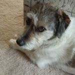 Profile Picture of Matthew Seibel (@seibelmatthew) on Instagram