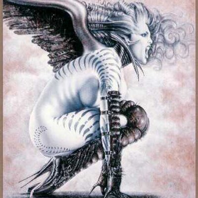 Profile Picture of Kenneth Neill (@beniceken) on Twitter