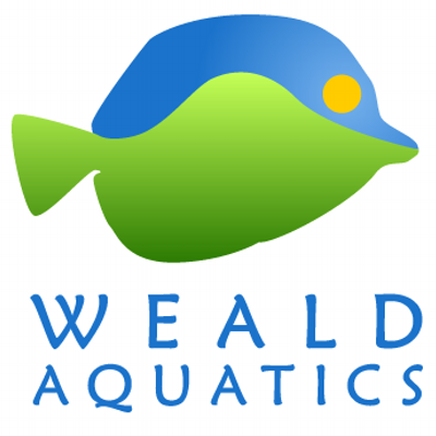 Profile Picture of Andy Westlake (@@lexis_brook) on Twitter