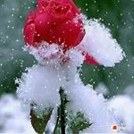 Profile Picture of SOUMEN ADHIKARI (@soumen5901) on Instagram