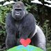 Profile Picture of Jack Scheible (@jack.scheible.54) on Facebook