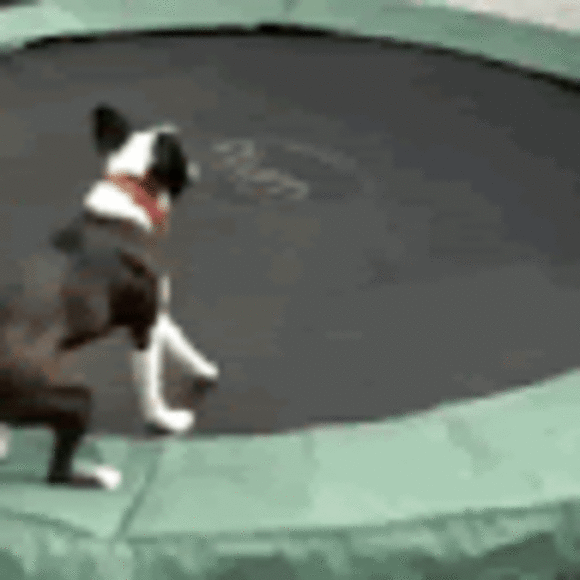 Profile Picture of Julia Pugliese (@juliapuglies953) on Poshmark