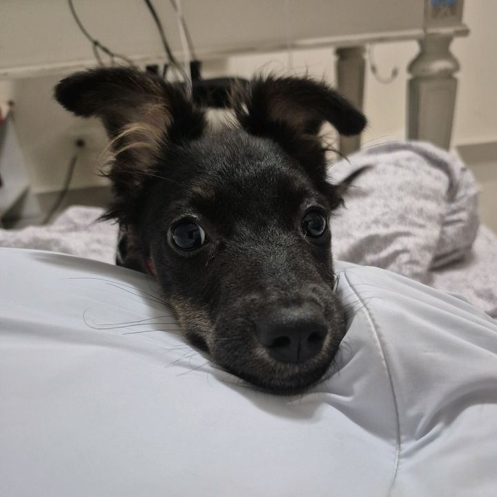 Profile Picture of Aaron✝️ (@aaronkang11) on Tiktok