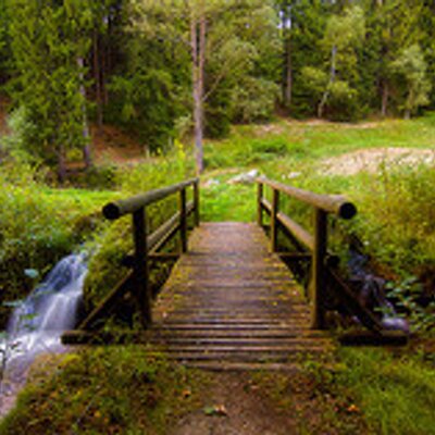 Profile Picture of ODETTE JONES (@ODETTEJONES1) on Twitter