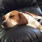 Profile Picture of david (@skeeter805) on Instagram