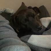 Profile Picture of Carly Mullins (@carlymullins267) on Youtube