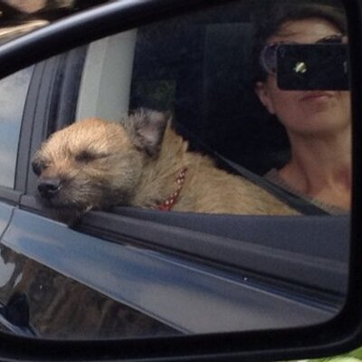 Profile Picture of Paula North (@paulanorth) on Twitter