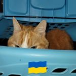 Profile Picture of Christopher A. Summitt (@casman013) on Instagram