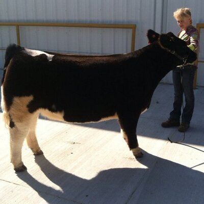 Profile Picture of Ted Kempf (@TedJK6) on Twitter
