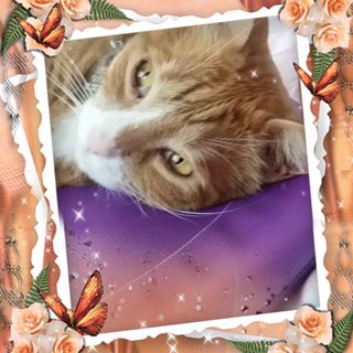 Profile Picture of Chloe Carter (@chloe.carter.144181) on Facebook