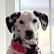 Profile Picture of E.James (@eugeneanderson8884) on Youtube